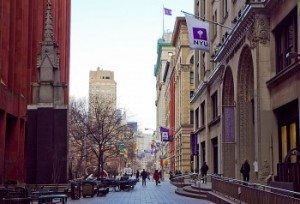 Purple flags, NYU purple reign 