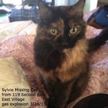 Sylvie Still Missing
