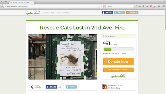 Raise Money Rescue East Village Fire Missing Cats
