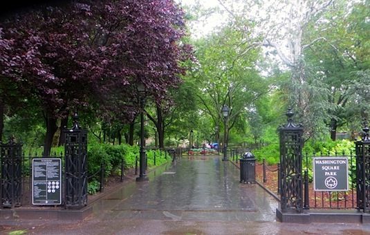 entrance southwest washington square park rain
