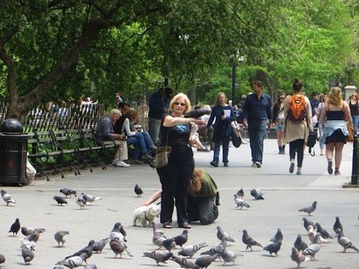Lady with pigeons 2014 (Larry in background)