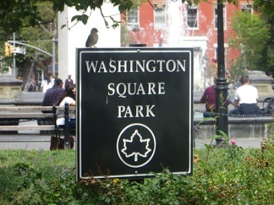 sparrow Washington Square Park sign