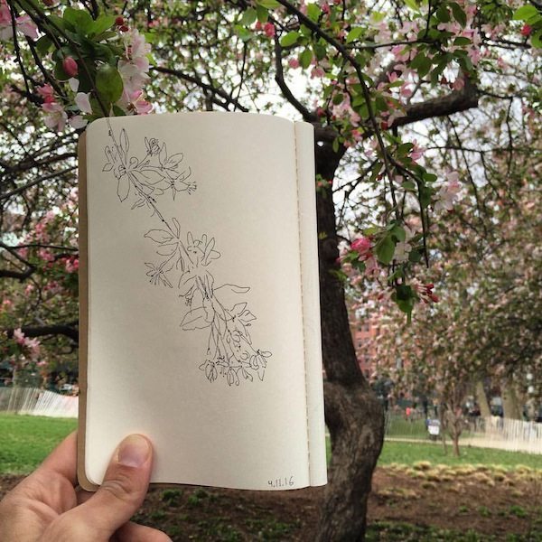 Washington Square Park Blossoms 