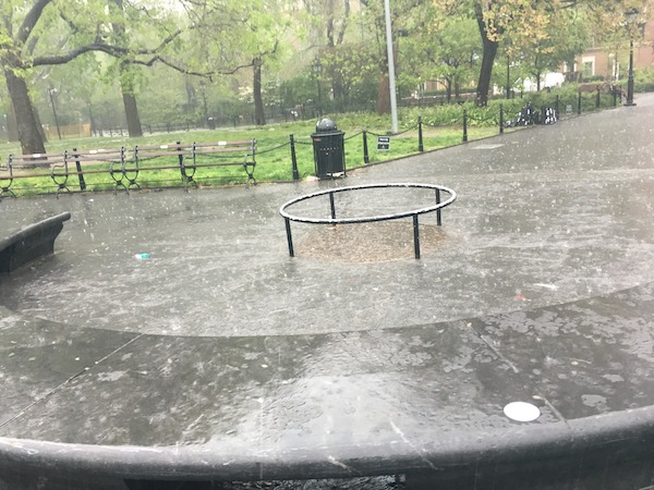 empty-tree-pit-washington-square-park-rain-5