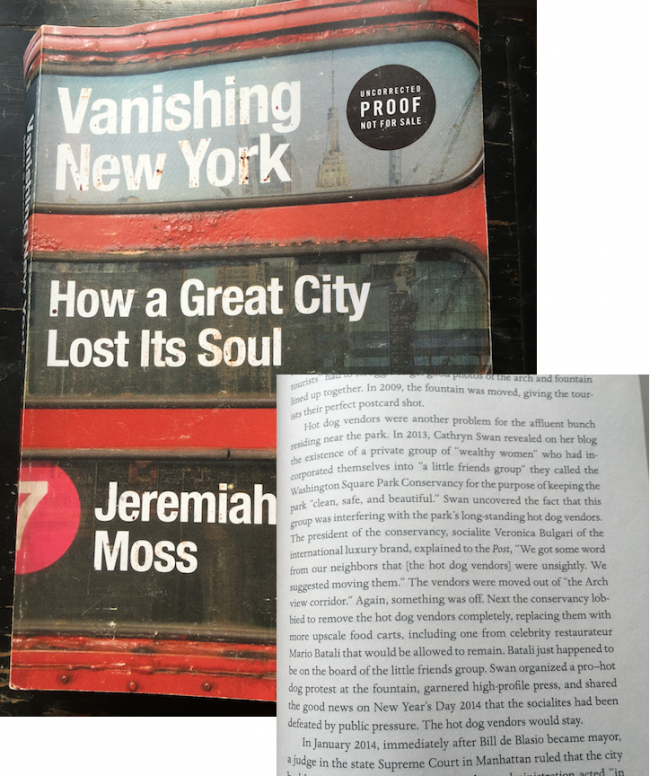 vanishing new york book washington square park controversies