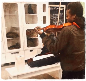 Elijah McClain plays violin to shelter cats